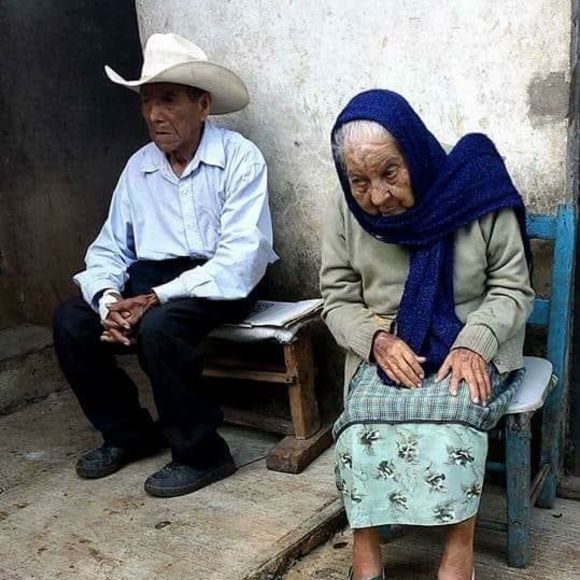 Meet your Posher, Daniel - Picture 1 of 1